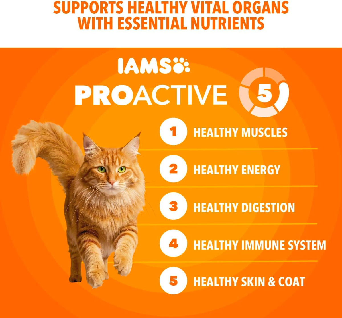 Proactive Health Healthy Adult Dry Cat Food, Chicken, 22 Lb