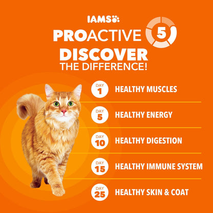 Proactive Health Hairball Dry Cat Food, Chicken & Salmon, 3.5 Lb