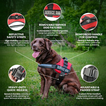 Service Dog Vest with Handle, No Pull Dog Harness for Large Dogs, Reflective Straps, Removable Patches Training Vest (Small - Large Breeds)