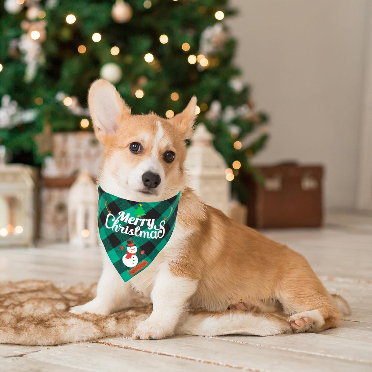 2 Pack Dog Bandana Christmas Classic Plaid Pet Scarf Triangle Bibs Kerchief Merry Christmas Santa Snowman Bandana for Medium Large Dogs Pets (Large)