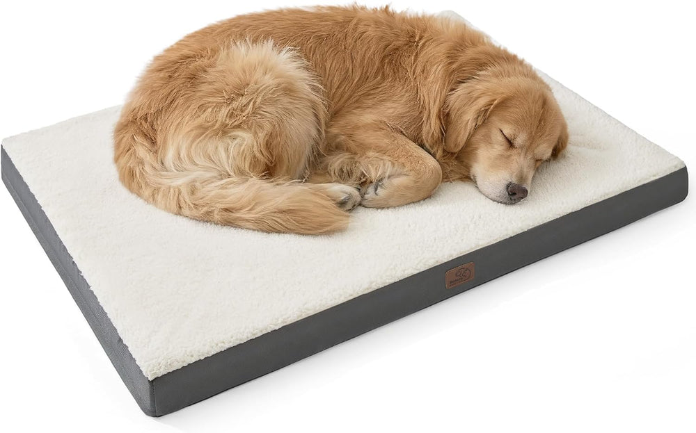 Dorice | Thoughtful Pet Essentials for Dogs & Cats