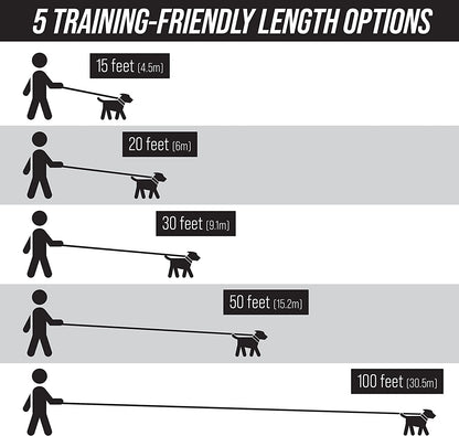Free Range - 3/4 Inch Nylon Training Leash - for Large and Medium Dogs - Long Lead with Handle - Great for Training, Play, Camping, or Backyard (50 Ft, Orange)